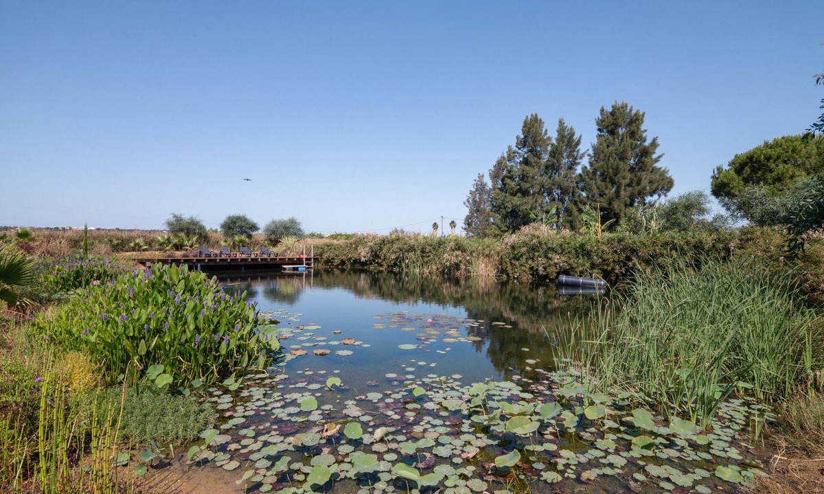 Moncarapacho e Fuseta Cottage | 2-Bed Algarve Retreat with Yoga, Pilates and Natural Pool