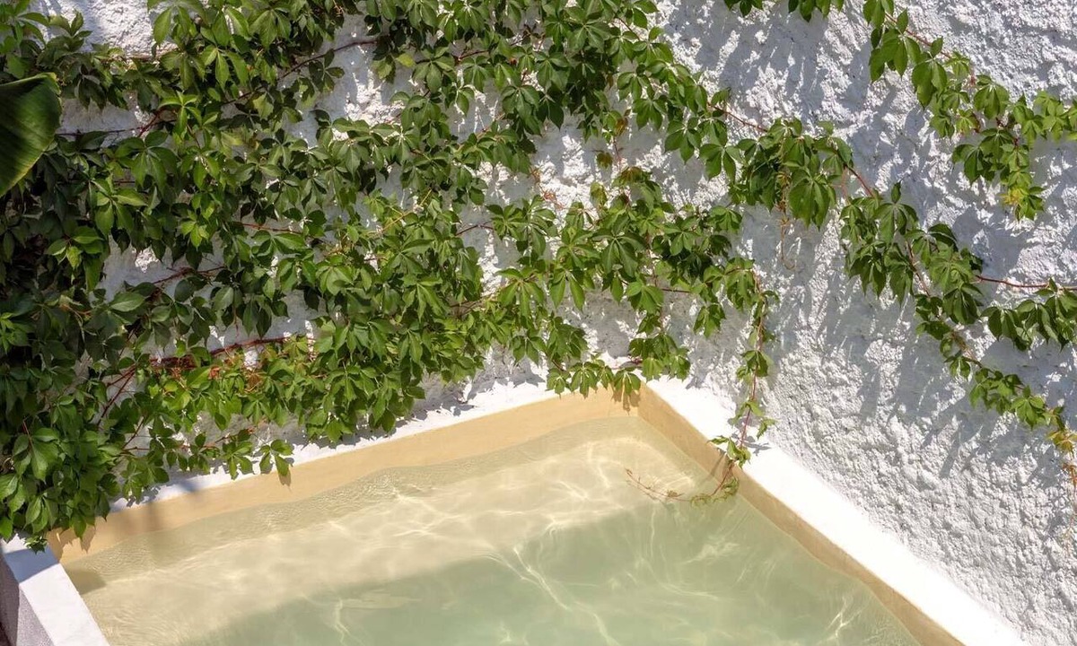 Saifores House | A charming little house nestled between vineyards and the sea.