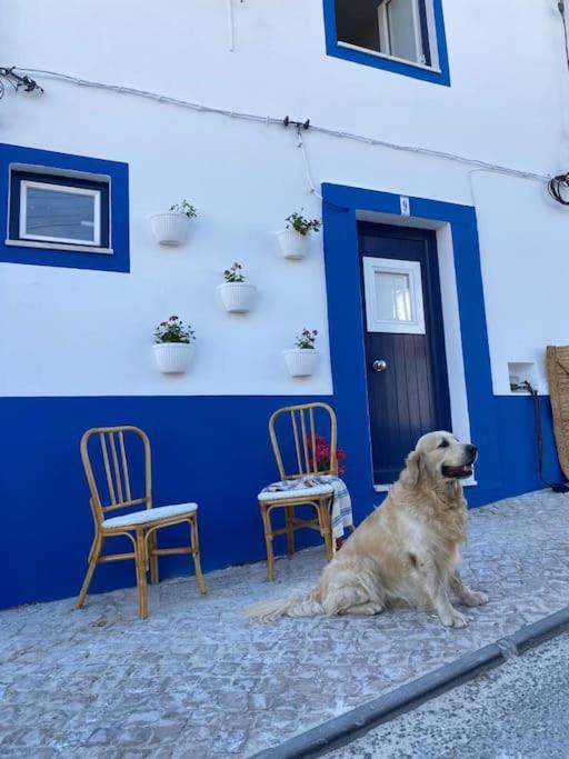 Alcacer do Sal House | Casa Buganvilla