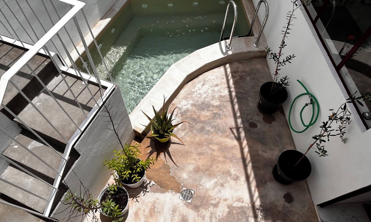 Sarzedas House | Casa do Largo, um Refúgio Encantador. Aceitam-se Animais de Estimação!