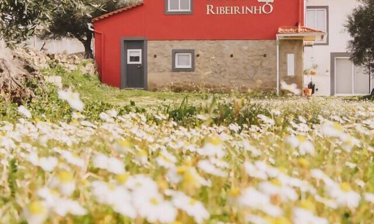Fundao House | Chão do Ribeirinho - A cozy rural retreat in Atalaia do Campo