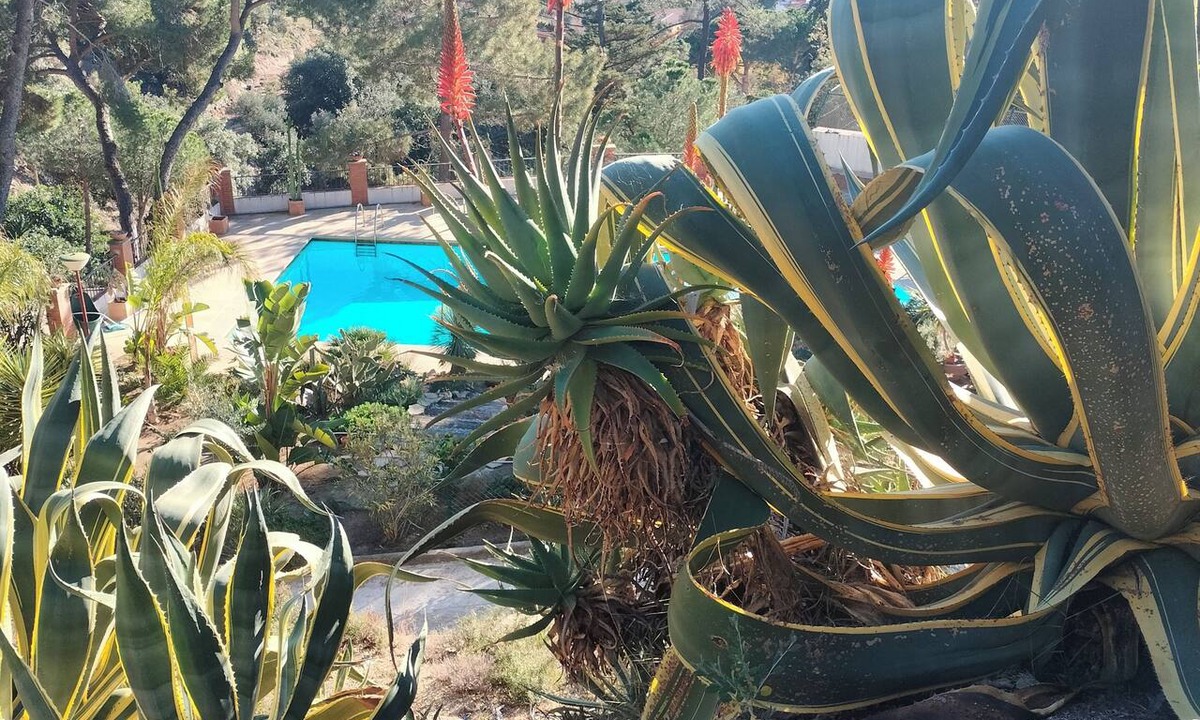 Premia de Dalt Bed & Breakfast | Dona Flor (for adults only)