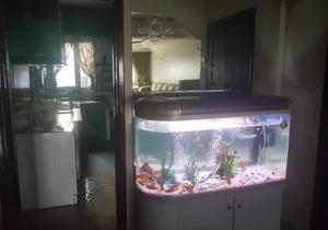 Furnished apartment in the city center and close to the sea