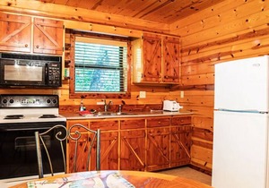 Hilltop Hideaway-- Luxury Cabin with Stunning Views and Jacuzzi for Two in Eureka Springs