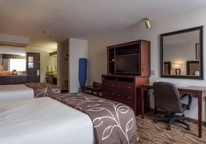 MAJESTIC IDAHO FALLS, 2 LOVELY UNITS! POOL, SPA, JACUZZI! in Idaho Falls