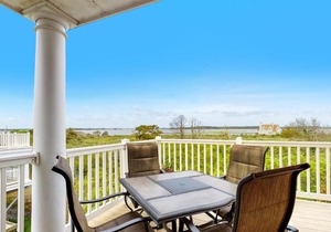 Salt Meadows -- 40148 in Fenwick Island