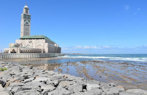 Belvedere Apartment | Bienvenue à Casablanca centre idéal pro ou famille