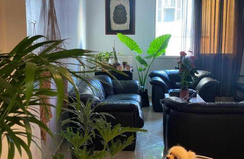 Casablanca City Center Bed & Breakfast | 90 m² Bed and breakfast ∙ 1 bedroom ∙ 2 guests