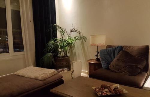 SOUR JDID Apartment | Appartement haut standing
