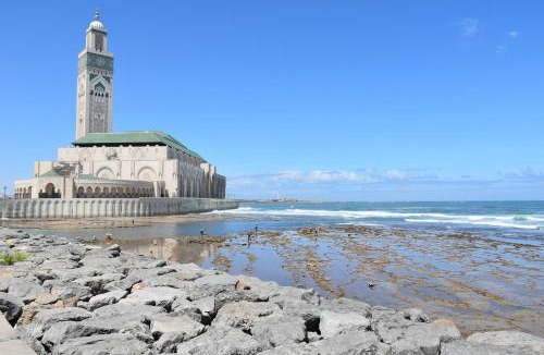Belvedere Apartment | Bienvenue à Casablanca centre idéal pro ou famille