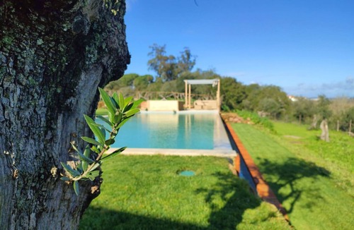 Santa Cita House | Casa Ruínas - Qta de Matrena, 10m from Tomar and the Castelo de Bode reservoir