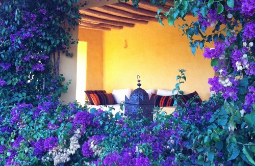 Dchar Ghanem House | Charming house with private pool in Moroccan countryside near Asilah