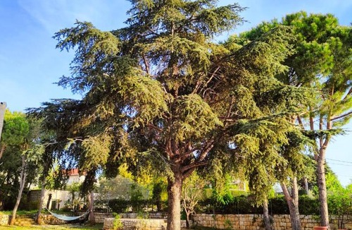 Koura Apartment | Eagles Nest Guesthouse- Rose Lily Suite 2