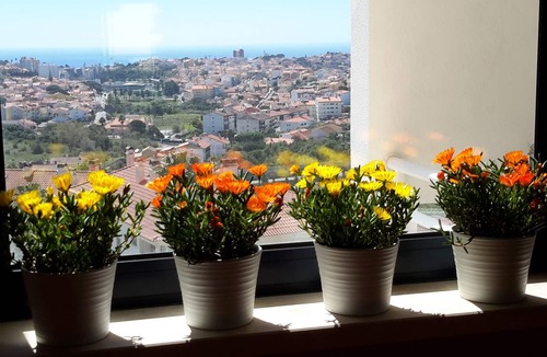 Alcabideche Apartment | Ocean's view - Ricky`s House