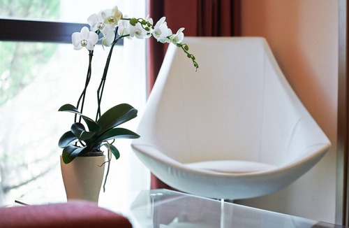 Oderzo Hotel | Primhotel