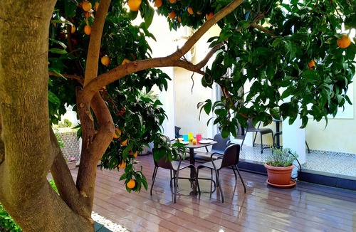 Lisbon Old Town Apartment | Private Garden Retreat in Historic Lisbon