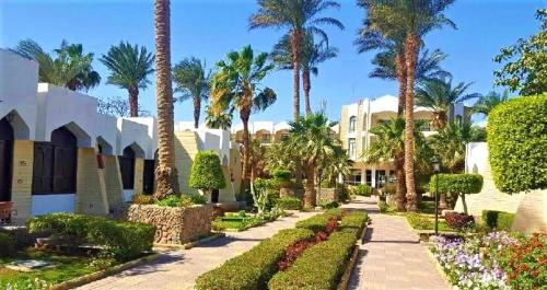 Sheraton Road -Sakkala Hotel | Regina Resort & Aqua Park منتجع زيا ريجينا ريزورت