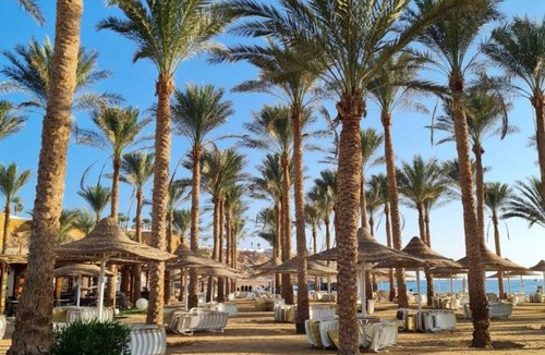 Ras Umm Sid Hotel | Seti Sharm Palm Beach Resort Families and couples only