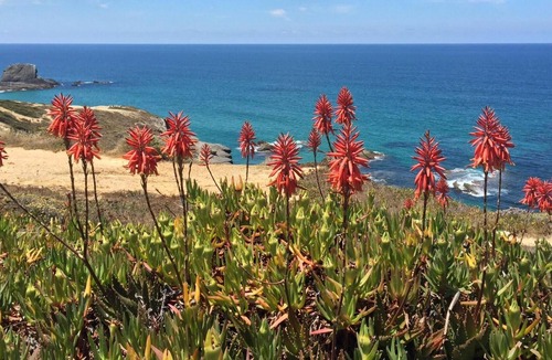 Zambujeira do Mar Villa | Villa by the sea with spectacular panoramic views of the Atlantic Ocean