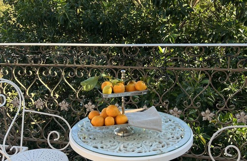Caldas de Monchique Villa | Welcome to Villa Rosa, a historic renovated home ~in an ancient spa village