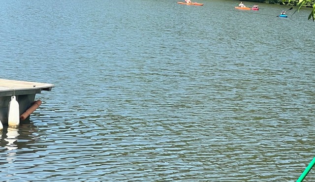 2-Bedroom Lake House on Watts Bar Lake outside Kingston, TN in Kingston