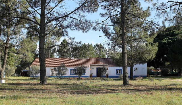 A Casa do Pinheiro tem uma Área de 5.000m2 com Piscina