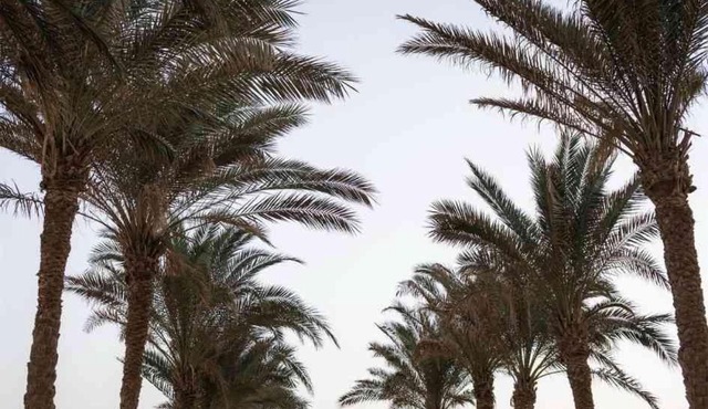 Acel Beach Resort Hotel in Quseir