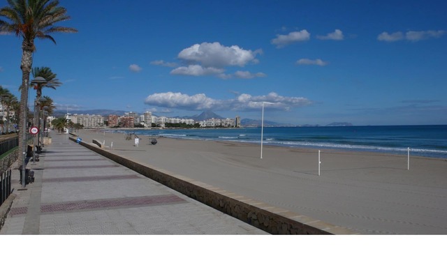 Apartment located 400 m to the beach Playa Muchavista! in El Campello