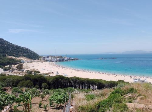 Appartement dalia