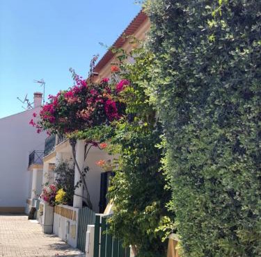 Casa da Oliveira