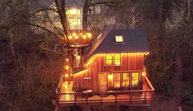 Emerald Forest Treehouse - From Treehouse Masters in Redmond