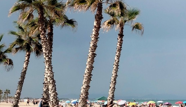 Excellent 100m apartment across from the lighthouse, a 3-minute walk from the beach, in a quiet area in Canet d'en Berenguer