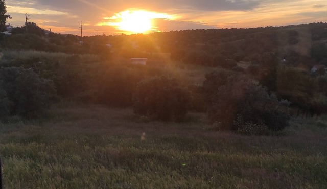 Farmhouse Casa TORRAMO in Olives Fruits Trees on National 2. Alentejo. 13750 sqm