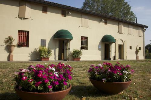 Fondo Riso in Faenza
