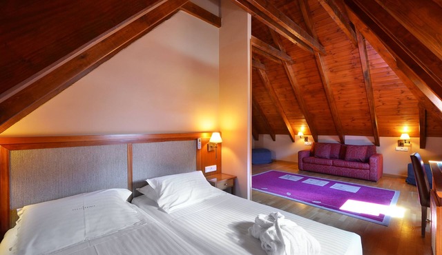 Hotel Acevi Val d'Aran