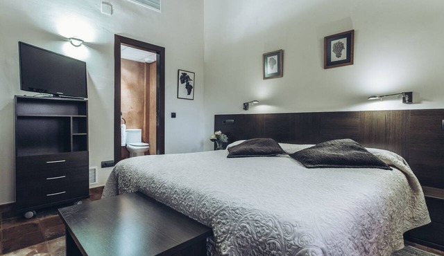 Hotel Rural Pago de Tharsys in Requena