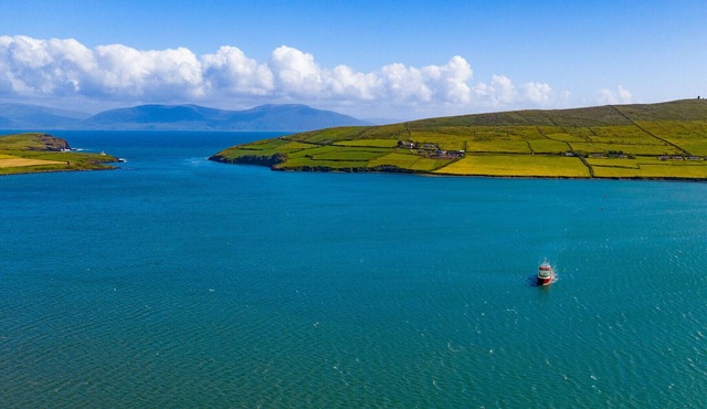 Malachys Rest Dingle in Dingle