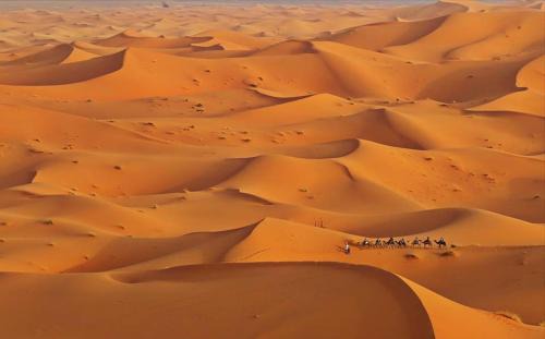 Merzouga-Bivouac-Excursion And Hotel