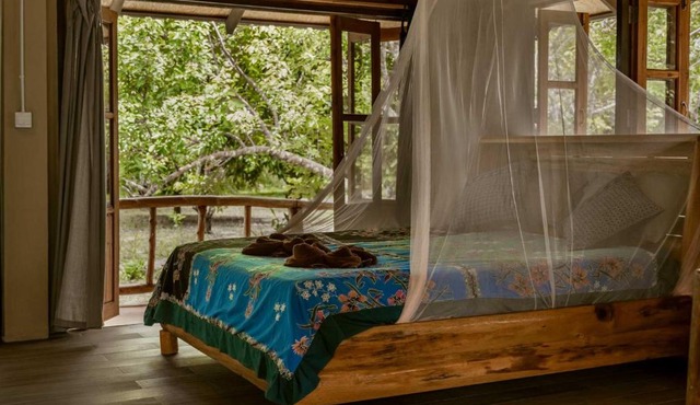 Monkey Mansion - Jungalows & Tours in Khao Sok National Park