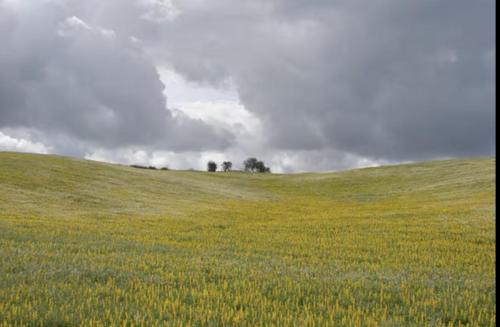 Monte das Doceitas in Ourique