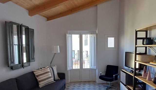 PENTHOUSE WITH TERRACE IN THE HISTORIC CENTER (ideal for groups and families)