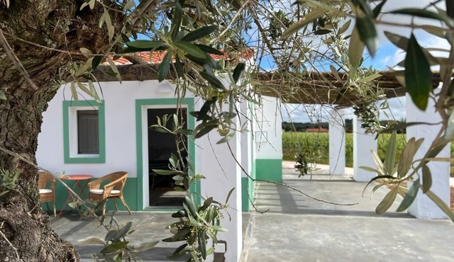 Pleno Alentejo Rodeado de Vinhas e Junto as Cidades de Borba, Vila Viçosa e Estr