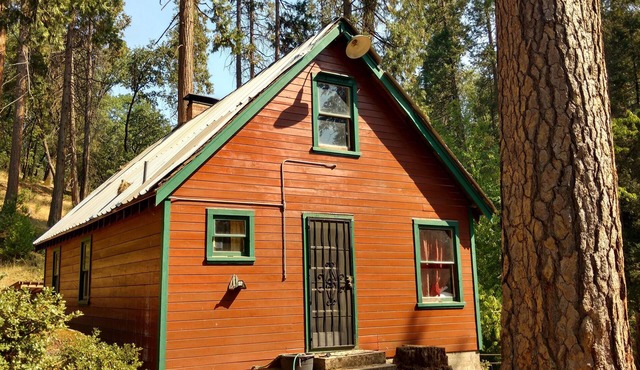 Ponderosa Cabin ~ rustic comfort + WiFi by Sequoia & Kings Canyon National Parks in Miramonte