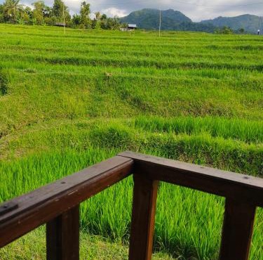 Pondok Pengaringan Loon in Gitgit