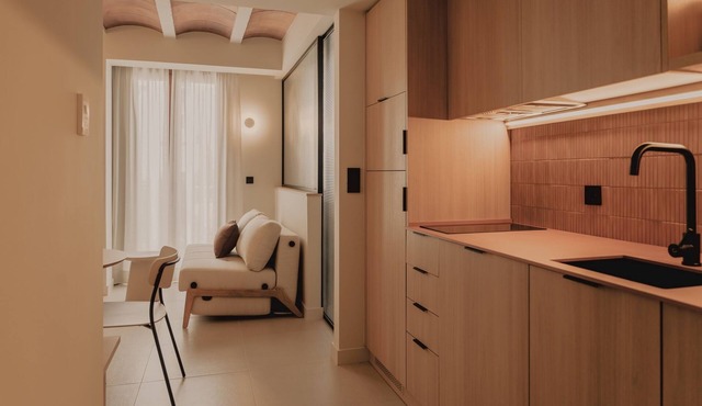 Premier Apartment Pau Suites