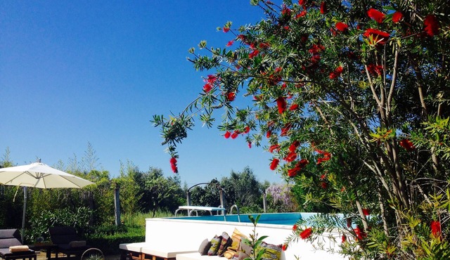 Private farm with pool in the Alentejo