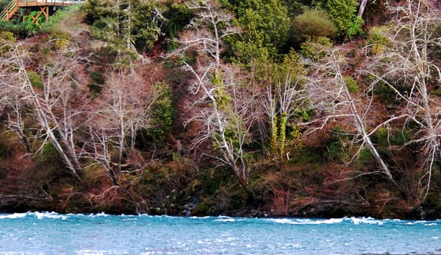 Riverfront Redwood Retreat Nestled in Nature in Crescent City