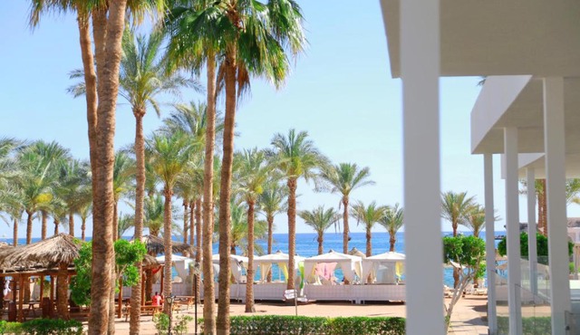 Seti Sharm Palm Beach Resort Families and couples only
