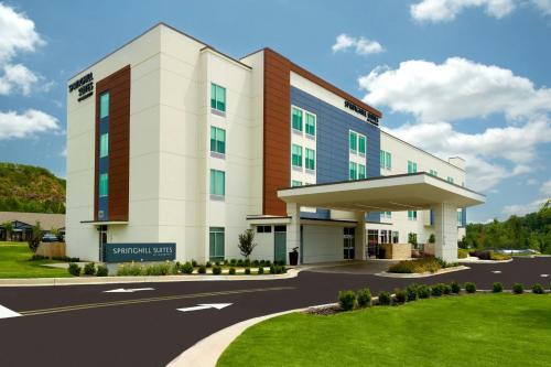 SpringHill Suites by Marriott Ellijay in Ellijay