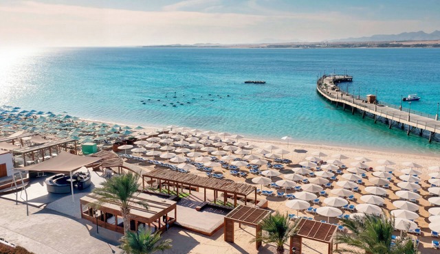 SRNTY Sahl Hasheesh